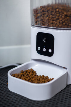 A modern automatic pet feeder with a transparent container filled with dry pet food. The feeder has a digital control panel and a bowl for serving.
