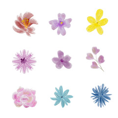 Fototapeta premium Watercolor Floral Clipart Collection Set Isolated on Transparent Background 