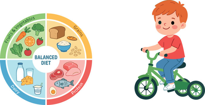 Cute cartoon boy riding a green bicycle next to a balanced diet food plate infographic chart isolated on white background vector illustration.