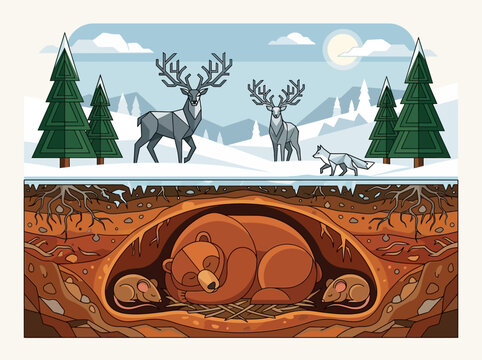 Geometric Illustration of Wildlife Hibernation and Winter Survival with Bear, Mice, Deer, and Fox in a Split View Nature Landscape