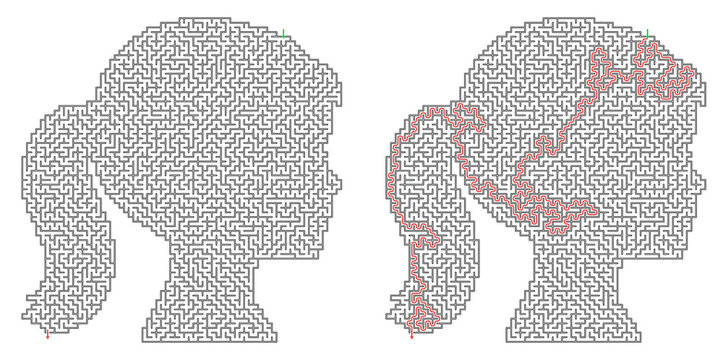 Maze puzzle in the shape of a girl's profile with solution path  