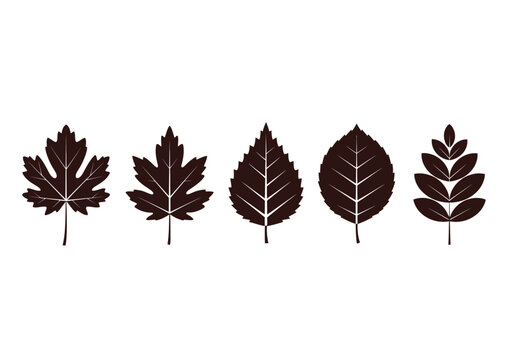 Set of Five Minimalist Autumn Leaf Silhouettes, Various Tree Foliage Icons Isolated on White Background