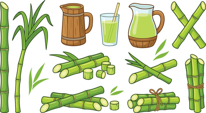 Sugarcane Vector Icon Set with Fresh Stalks Leaves Juice Pitcher Mug and Glass Elements for Agriculture Healthy Beverage and Dessert Designs
