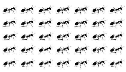 Fototapeta premium Ants are organized into a precise grid of black silhouettes on a bright white background to serve as a repetitive visual element for pest control themes or biological studies and graphic design.