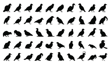 Fototapeta premium Birds shown as a vast assortment of various avian silhouettes featuring different wing shapes and perching positions arranged in a clean grid for use in professional graphic layouts.
