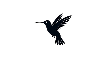 Naklejka premium Hummingbird in Flight Against White Background with Wings Spread
