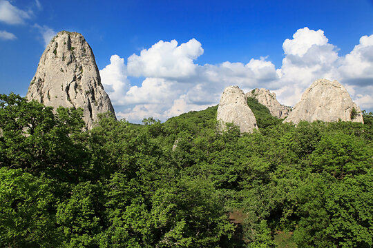 Sharp gray rock peaks tower among green treetops under a clear sky, conveying the calm and power of nature.