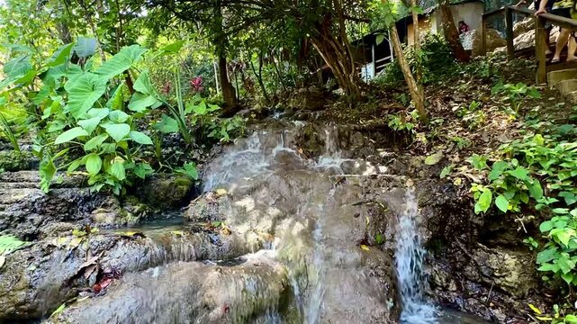 Cascading Forest Stream Through Limestone Rocks (Puente de Dios, San Luis Potosi, Mexico)