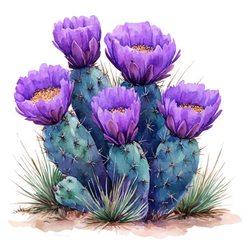Parodia Flower, serene watercolor vector artwork with smooth washes of color and refined textures, isolated on a white background.