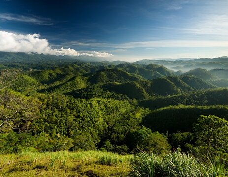 verdant green vegetation covers the landscape in the rante pao area of north toraja sulawesi indonesia rante pao north toraja south sulawesi indonesia