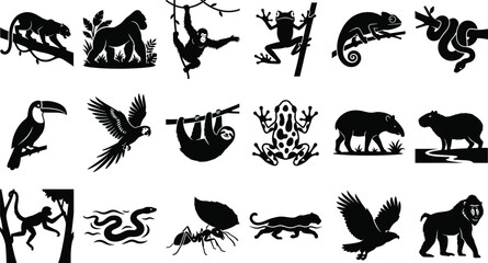 Fototapeta premium Rainforest Animal Silhouette Icons of Jaguar Gorilla Monkey Birds Reptiles Amphibians and Jungle Wildlife Vector Set