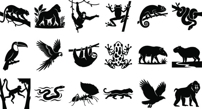 Rainforest Animal Silhouette Icons of Jaguar Gorilla Monkey Birds Reptiles Amphibians and Jungle Wildlife Vector Set