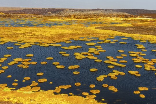 Geothermal area with sulphur deposits and acidic brines, Dallol, Danakil depression, Ethiopia