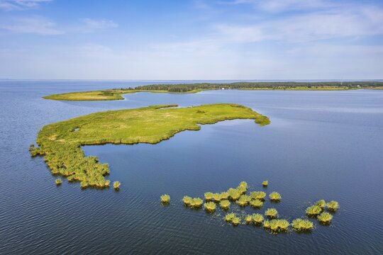 Aerial view, drone photo: Lysa Wyspa island covered with reeds, Kahleberg, Nowe Warpno, Szczecin Lagoon, Poland