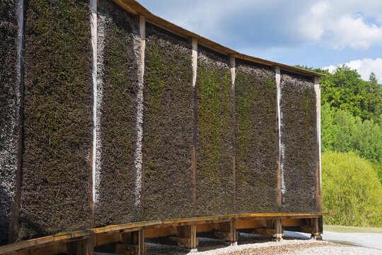 Elongated Kneipp facility with wooden structure, surrounded by green foliage and sky, brine, graduation tower, spa town of Miłomłyn, Milomlyn, Liebem&uuml;hl, Warmia-Masuria, Poland