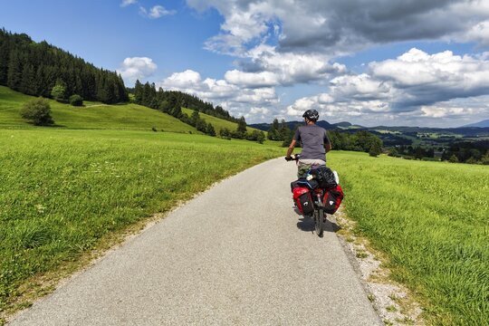 Cyclist riding on cycle path, hilly landscape with meadows, bicycle bags, panniers, Oberallg&auml;u, Lake Constance K&ouml;nigssee cycle path, Lake Constance-K&ouml;nigssee cycle path, long-distance cycle path, long-distance cycle path, Germany