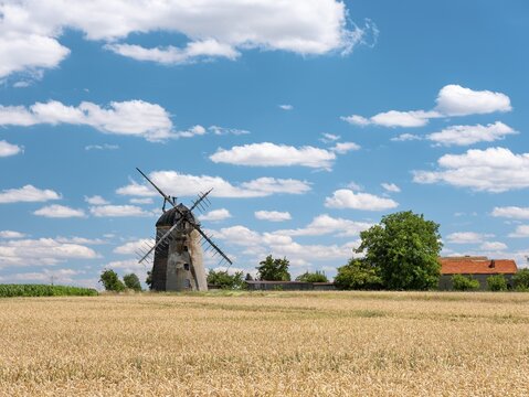 Landscape with windmill and wheat field under blue sky with cumulus clouds, tower windmill, Dutch windmill, Schmiedehausen, Thuringia, Germany