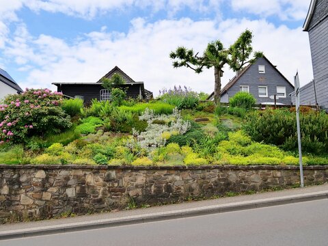 A beautifully landscaped hillside garden rises above a natural stone retaining wall next to an asphalt road. The steep slope is filled with a dense variety of green plants, ground covers, silvery shru