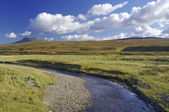 Idyllic river landscape with mountains in the background under a blue sky, autumn, October, Highlands, railway line Inverness to Kyle of Lochals, Scotland, Great Britain