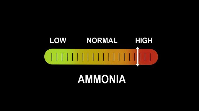 Ammonia level indicator gauge motion showing rising chemical concentration from low to normal and risk zones for industrial safety monitoring and environmental hazard analysis