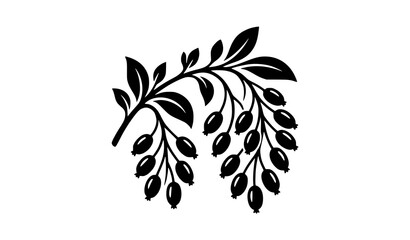 Berries on a branch silhouette, botanical leaf and wild berry outline element © SobujChandra