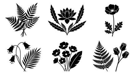 Black and white botanical line art of fern and floral elements on plain background © Fitri