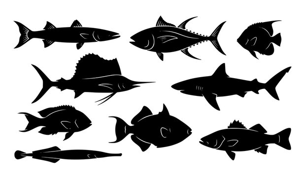 Sea fish and sharks silhouettes collection, ocean underwater wildlife shapes set
