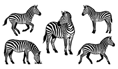 Zebra silhouettes collection, walking and running wild safari animals set. © SobujChandra