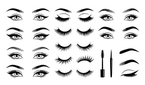 Eyelashes and eyebrows vector set, female eyes extension makeup line art.