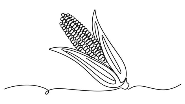 Continuous line drawing of a corn cob with husk, minimalist vector illustration of a maize ear, simple sketch style for food and agriculture design