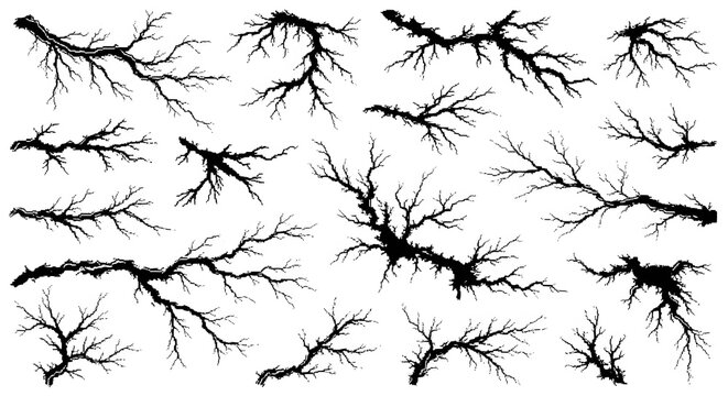 Abstract black stipple branch silhouettes. Nature patterns and forest texture elements. Dark isolated tree twigs for seasonal or organic design