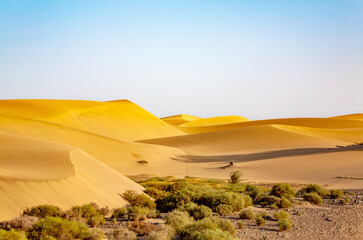 Fototapeta premium Sand Dunes, Maspalomas, Island Gran Canaria, Canary Islands, Spain, Europe.