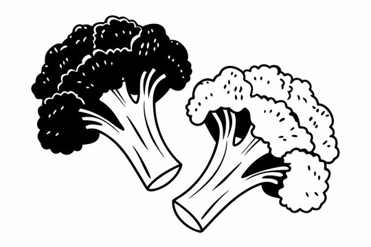 Black and white vector illustration of two broccoli florets with thick stems and textured crowns in a graphic design