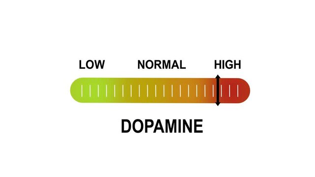 Dynamic dopamine level indicator gauge animation showing fluctuating neurotransmitter levels from low to on a gradient scale for scientific, medical, and psychological