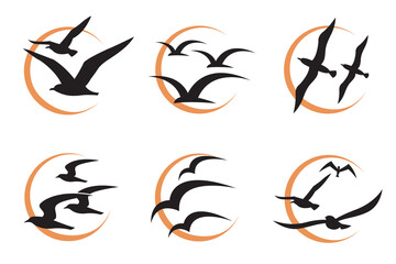Fototapeta premium collection of icons with flying seagulls silhouettes and sun isolated on white background