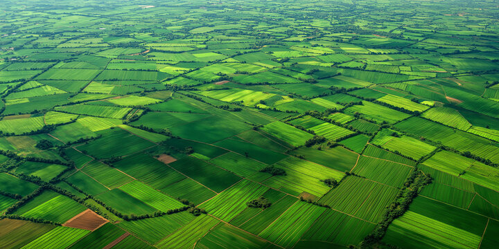 Aerial View of Green Fields Creating Geometric Patterns in Rural Landscape
