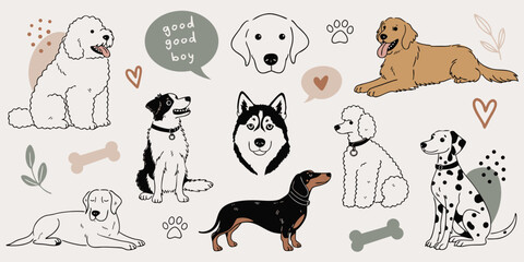 Various dog breeds illustrated with playful elements on a light background © Mim Studio
