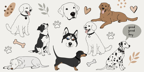 Various dog breeds illustrated with playful elements on a neutral background © Mim Studio