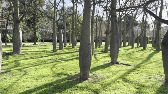 Jard&iacute;n del Turia Park Valencia Spain Sunny Day Urban Green Space View