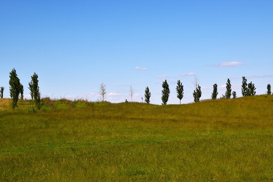 Minimalist Green Hill Landscape with Trees Under Blue Sky Ukraine