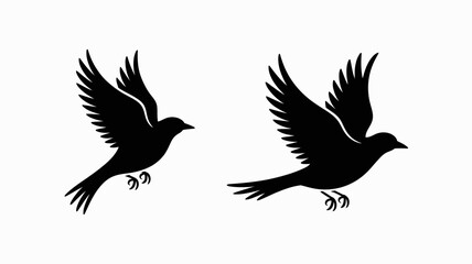 Obraz premium Two black pigeons flying with wings spread apart
