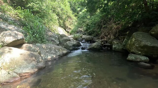 Natural Forest Stream with Rock Pool in Koslanda Sri Lanka Tropical Jungle Landscape