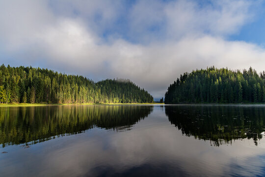 Canada, BC, Bowron Lake Provincial Park. Still early morning water's edge, Swan Lake in the famous Bowron Lakes canoe circuit