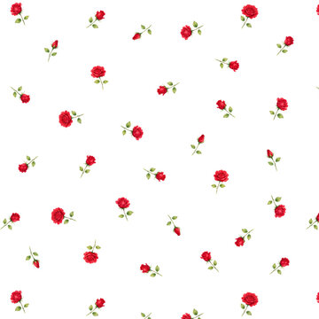 Seamless pattern with red roses in different bloom stages, including buds and fully opened flowers, isolated on transparent background. Watercolor botanical design with soft details and natural compos