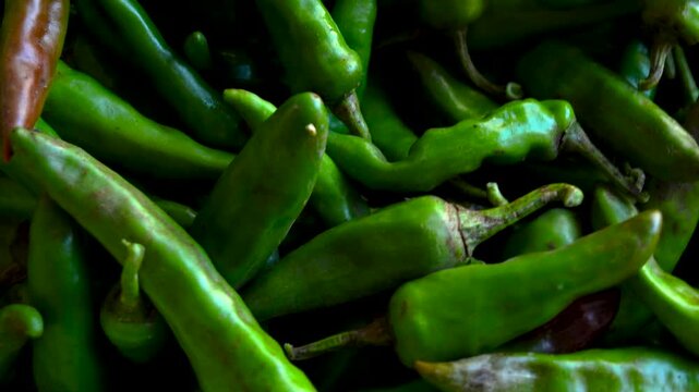 Fresh green chili peppers in pile with circular camera movement, 4K video