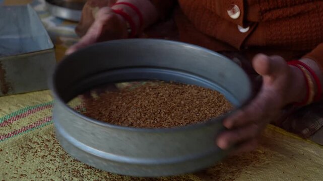 Indian grandmother sorting coriander seeds with traditional tools, 4K video
