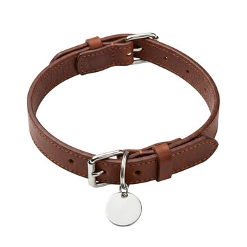 Brown leather dog collar with blank silver tag