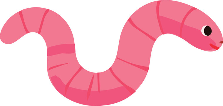 A cute pink earthworm with a segmented body is illustrated in a simple flat cartoon vector style, isolated