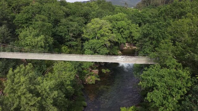 Suspension bridge connecting forest banks over the lerez river in galicia, spain