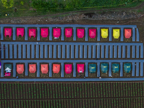 Aerial view of colorful tents arranged in neat rows at Garung campsite with blue plastic mulching and nearby agricultural fields in Kecamatan Kalikajar, Jawa Tengah, Indonesia.